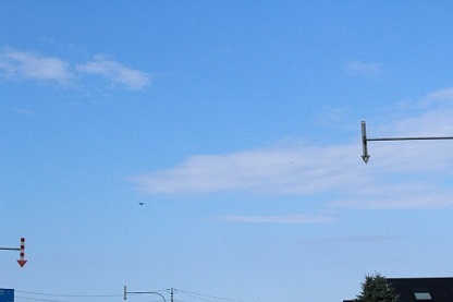 f0325309_15501829.jpg