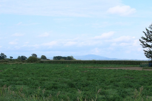 f0325309_15510670.jpg