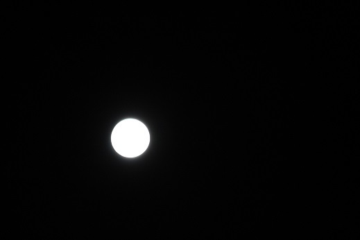 f0325309_21065795.jpg