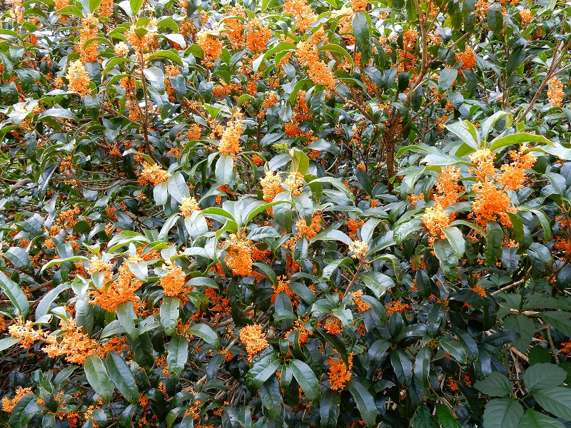 f0182513_20595164.jpg