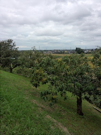 a0031714_17435930.jpg