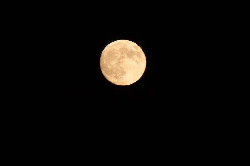 a0278914_18441230.jpg