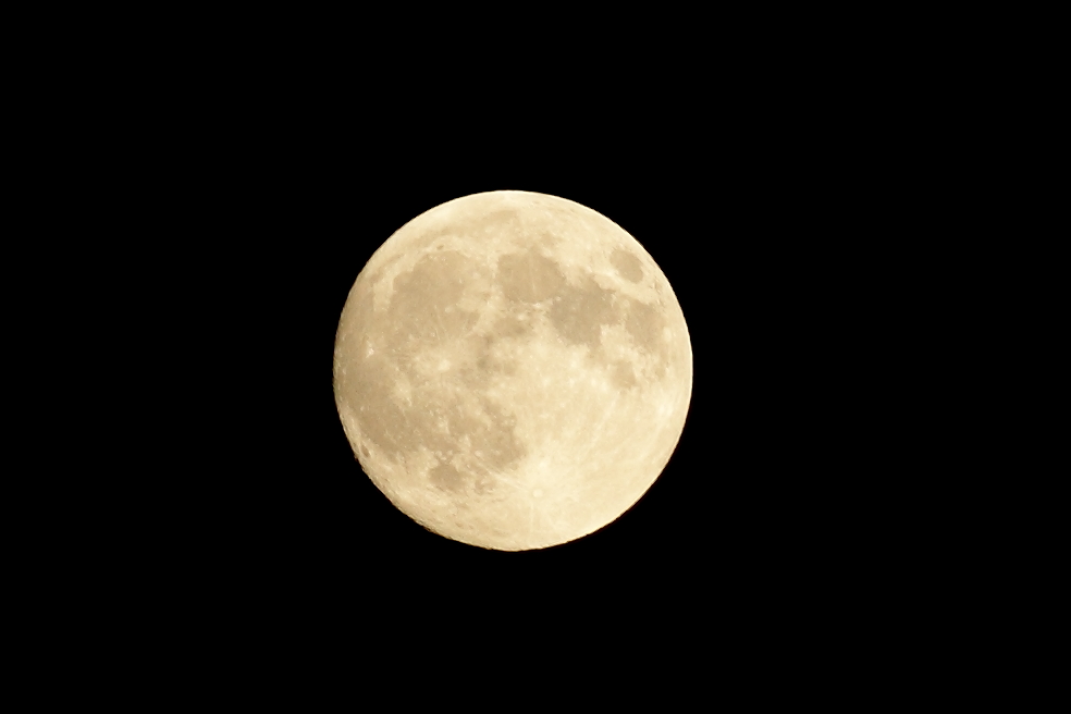 d0181314_18185126.jpg