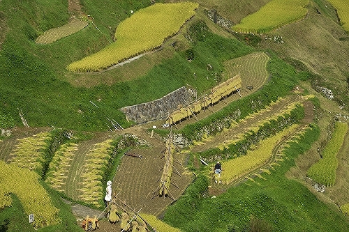 c0168815_10184453.jpg