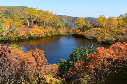 2015年9月『錦織りなす大雪山』  September 2015 \"Autumn Colour in Taisetsu Mountains\" _c0219616_1018013.jpg