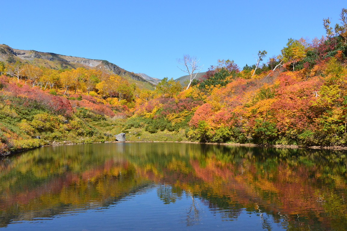2015年9月『錦織りなす大雪山』  September 2015 \"Autumn Colour in Taisetsu Mountains\" _c0219616_1018289.jpg