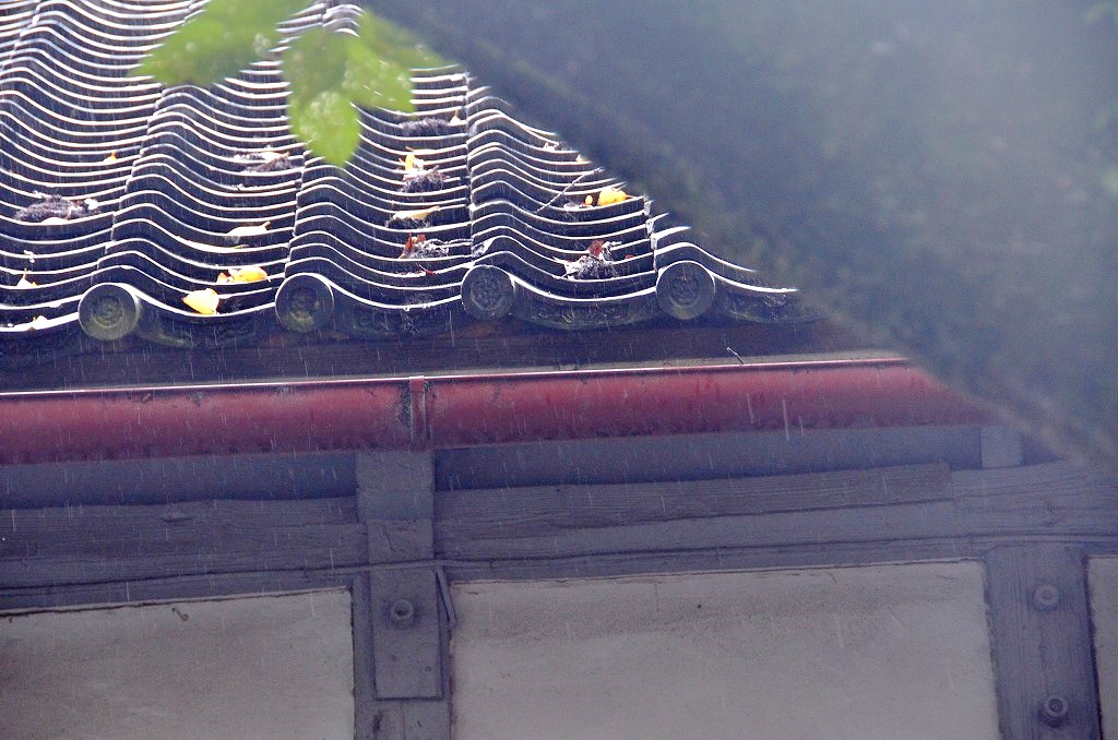 d0065116_22525798.jpg