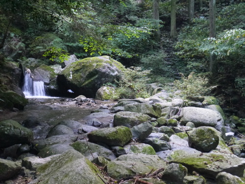 糸島の森と滝と・・・_a0315918_19194900.jpg