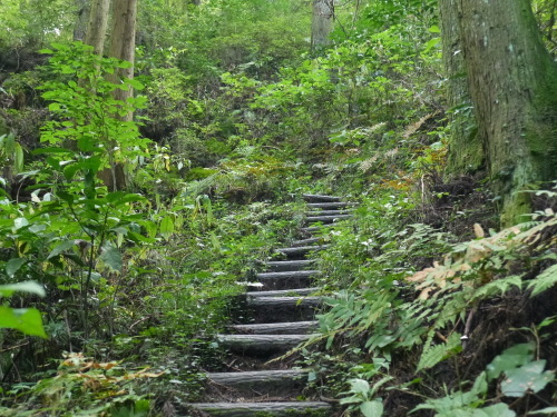 糸島の森と滝と・・・_a0315918_19201460.jpg