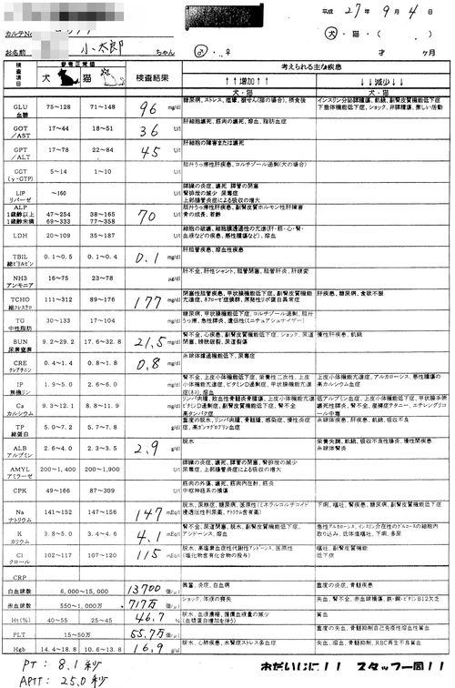 【記録：病理検査結果等_2回目の肥満細胞腫】_f0128821_11551832.jpg