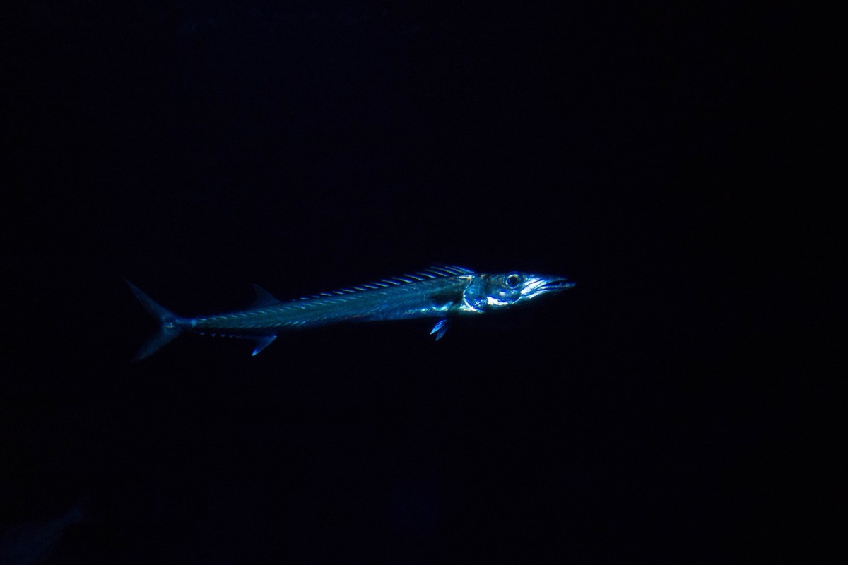 e0346322_04562044.jpg