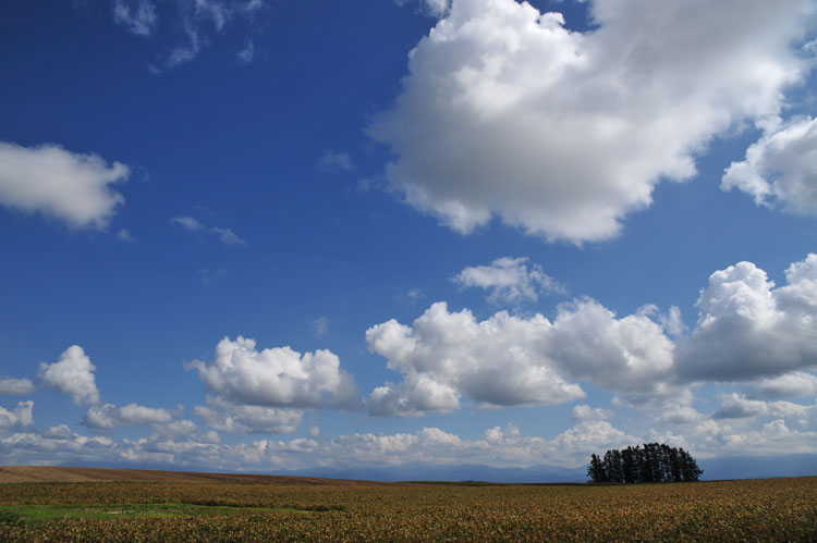 f0116528_20504233.jpg