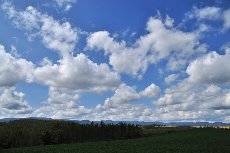 f0116528_20504818.jpg