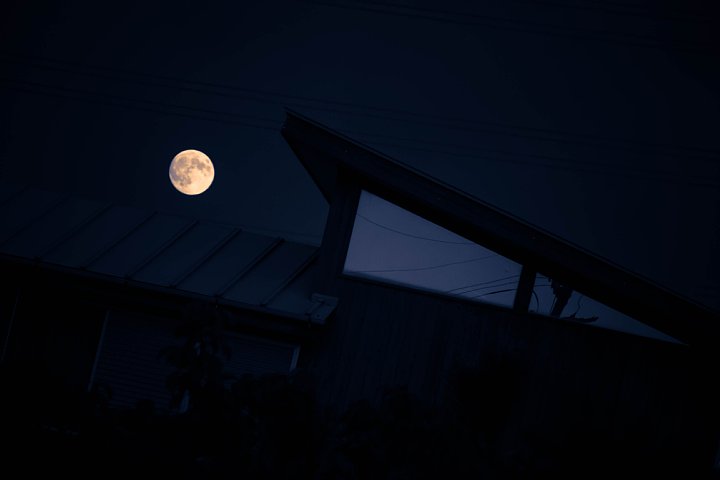 b0134829_20331047.jpg