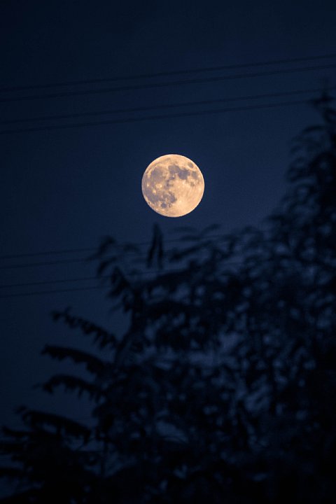 b0134829_2033238.jpg
