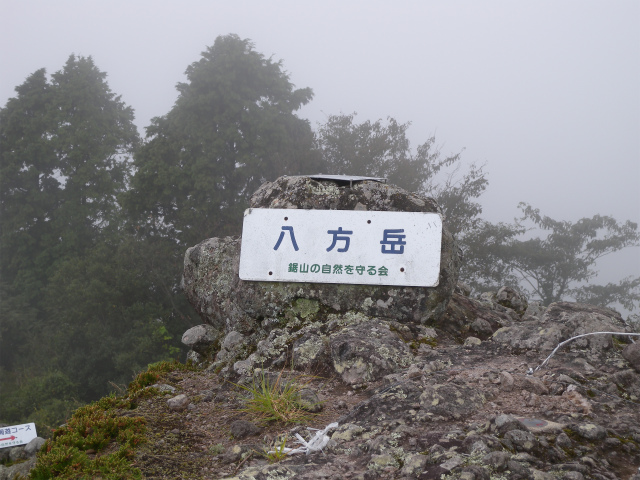e0272335_55139.jpg