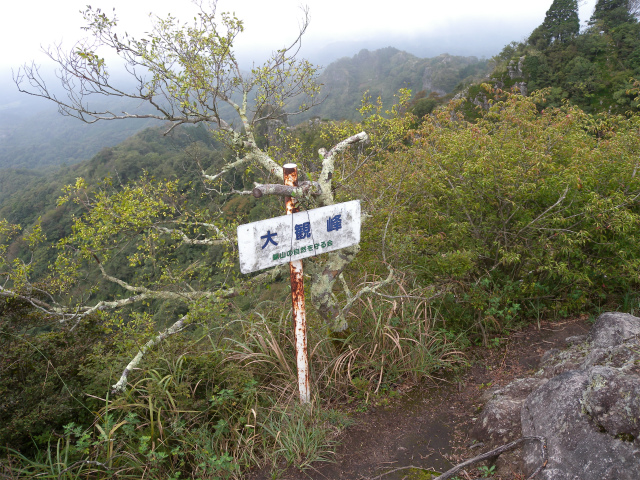 e0272335_57483.jpg