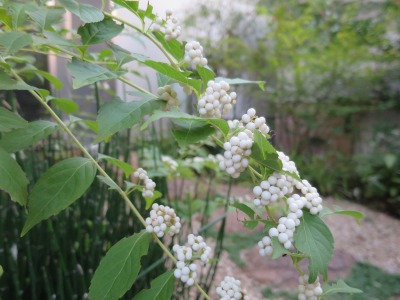 a0076237_9504046.jpg