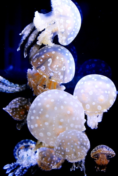 e0234741_13280247.jpg