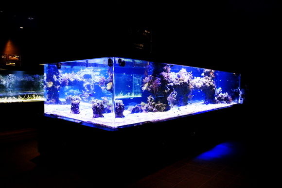 e0234741_13280296.jpg