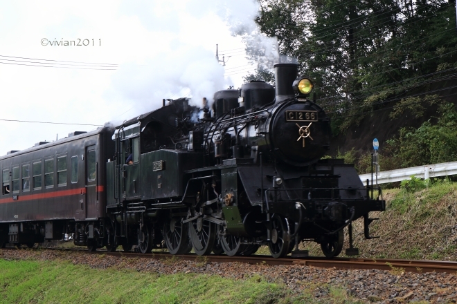 茂木 もてぎ里山アートフェスタ2015 in 城山公園_e0227942_23013995.jpg