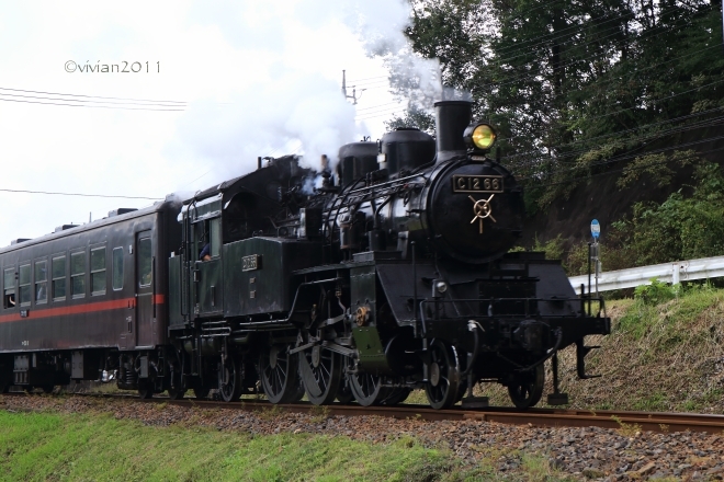 茂木　もてぎ里山アートフェスタ2015 in 城山公園_e0227942_23013995.jpg