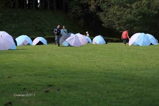 茂木 もてぎ里山アートフェスタ2015 in 城山公園_e0227942_23171972.jpg