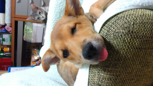 c0266644_00695.jpg