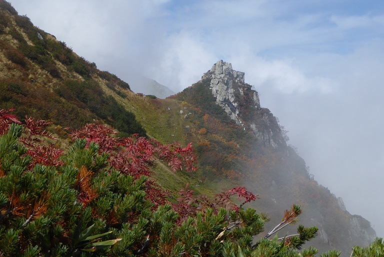 秋色の山へ　＜大日三山②　9／23 剣御前小屋～大日小屋＞　_d0288144_11152125.jpg