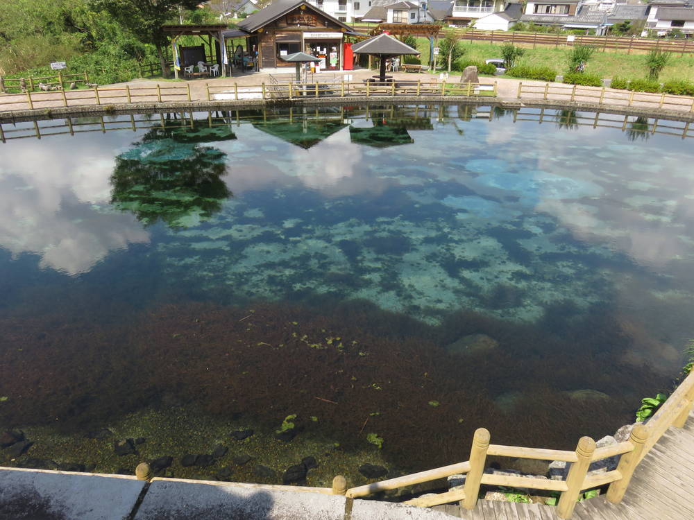 とんかつ442キロ ついでに丸池湧水（鹿児島）_e0346254_0564831.jpg