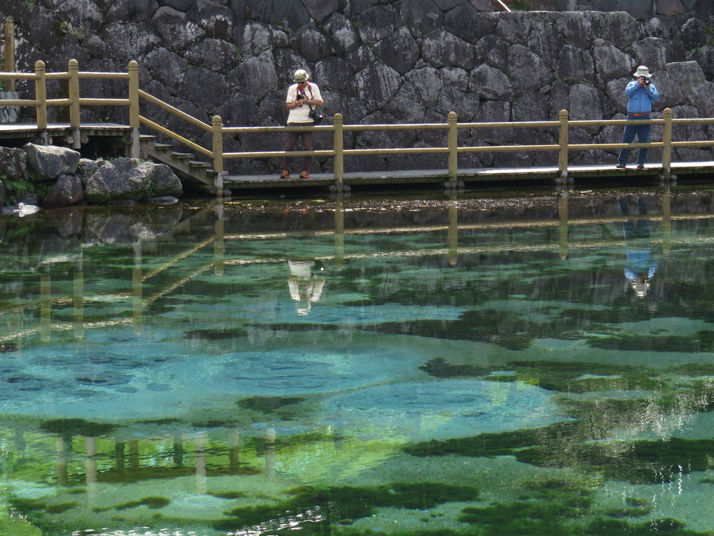 とんかつ442キロ ついでに丸池湧水（鹿児島）_e0346254_0593914.jpg