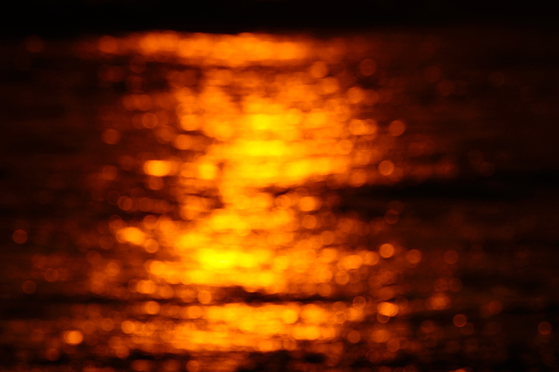 b0283455_17321696.jpg