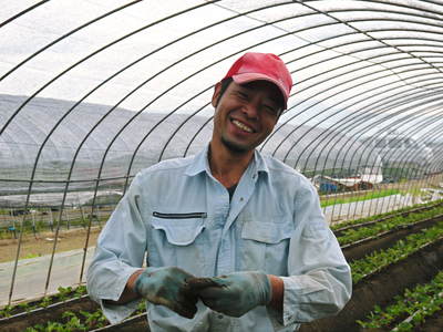 完熟紅ほっぺ 定植作業、そして徹底管理で育てていきます_a0254656_17133645.jpg