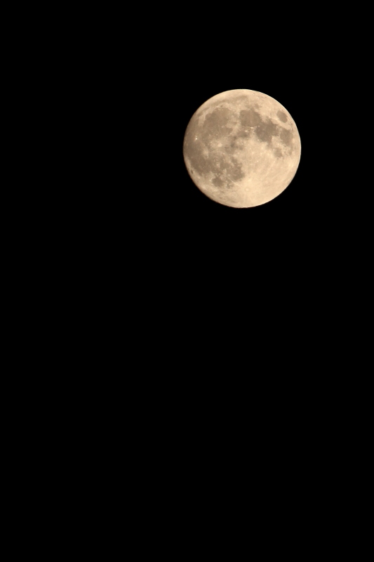 c0272958_23364512.jpg
