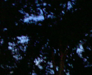 b0105259_16255478.jpg