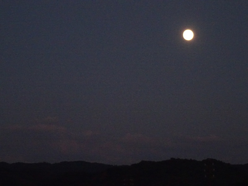 c0108460_23531330.jpg