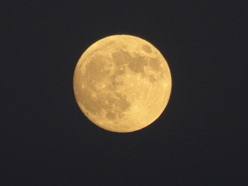 c0108460_23532669.jpg