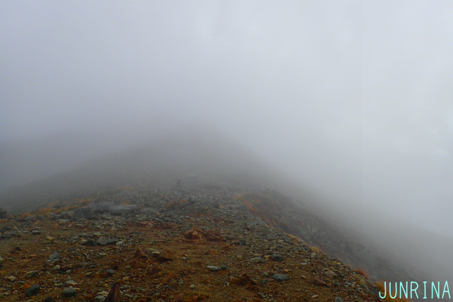 d0110562_20102334.jpg