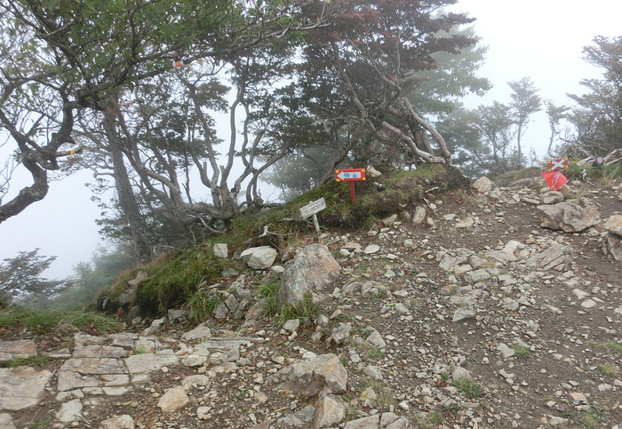 b0185573_131413100.jpg