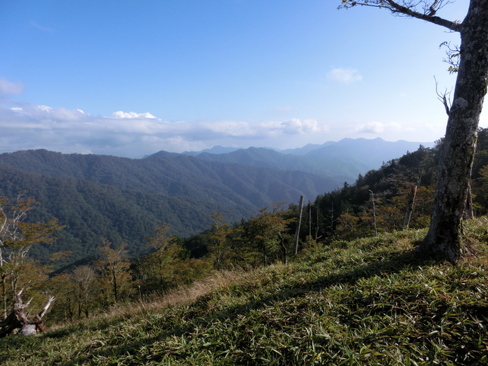 b0185573_1433298.jpg