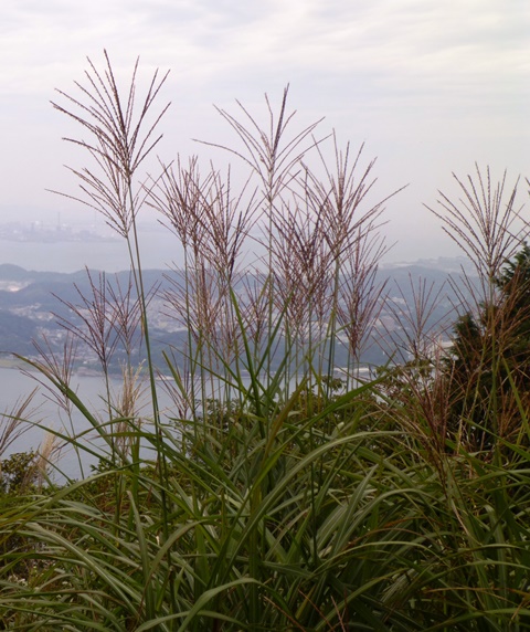 d0126573_0443073.jpg