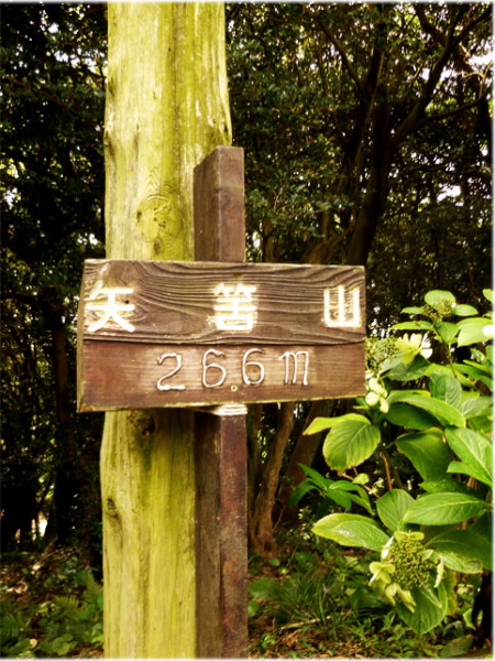 d0126573_0464689.jpg