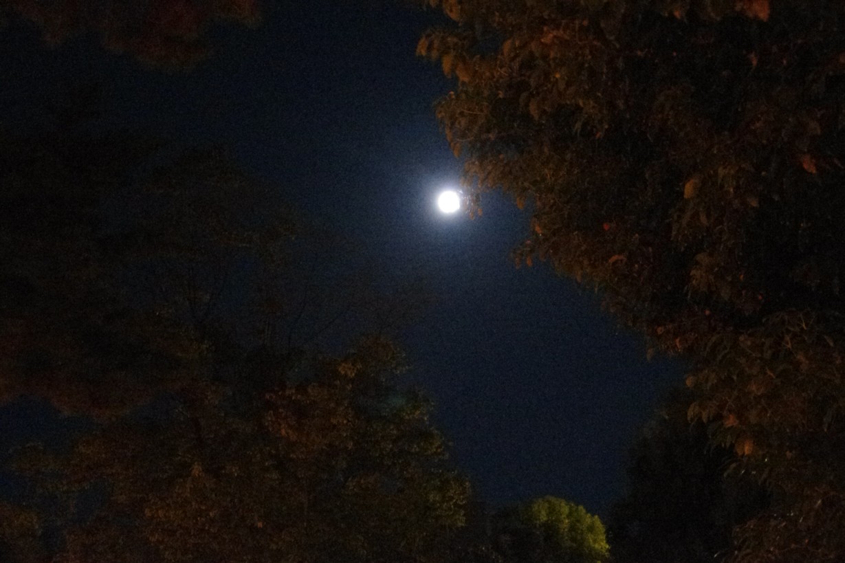 c0144185_2175625.jpg