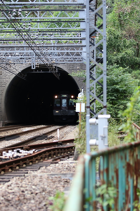 f0238186_20352185.jpg