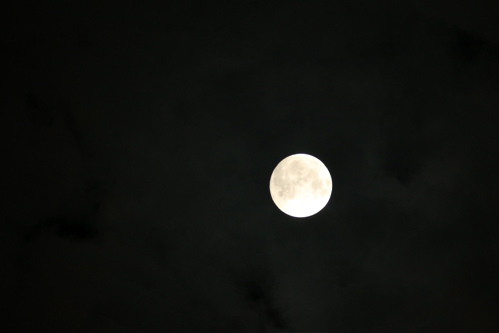 f0222387_22593190.jpg
