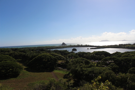 懐かしいハワイ旅行・・・_b0210688_2045124.jpg