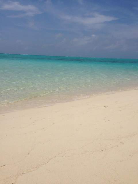 e0003090_01094145.jpg