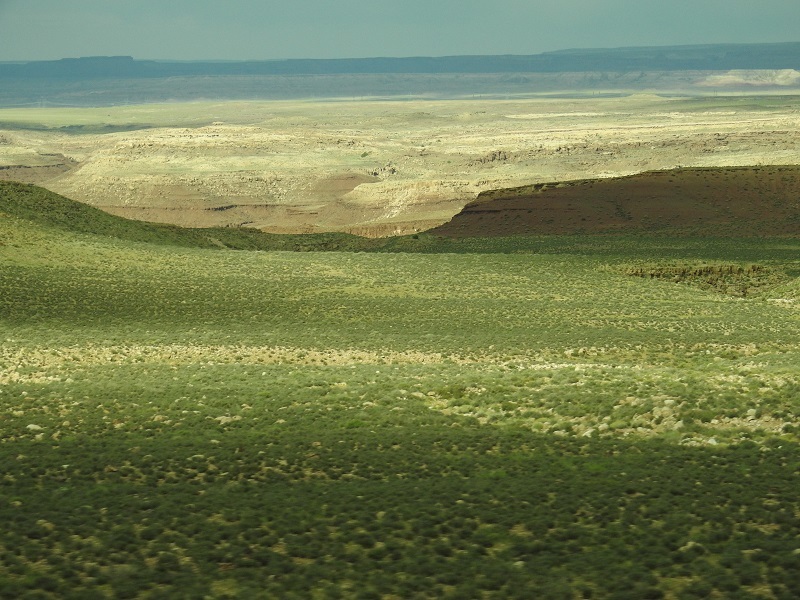 f0268294_14594701.jpg