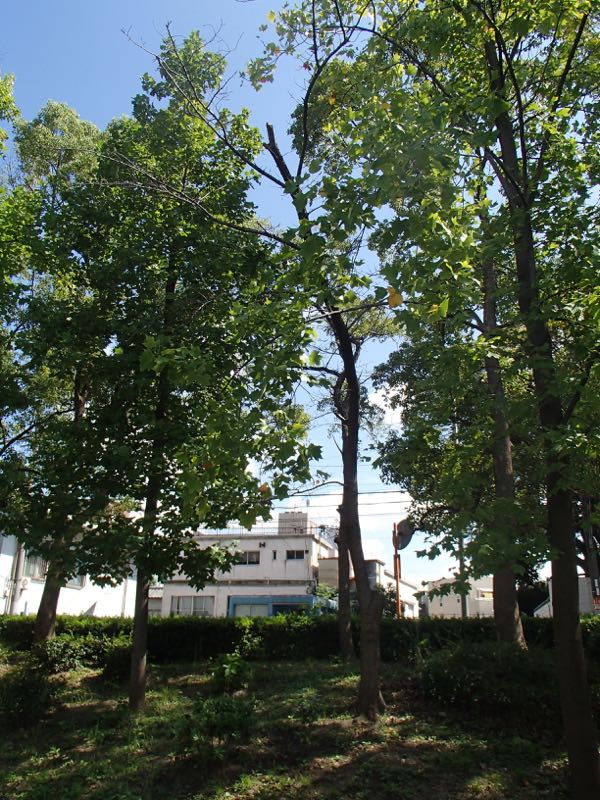 c0015099_19101710.jpg