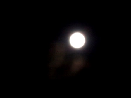 b0128101_11543424.jpg